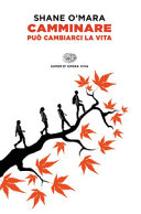 SHANE O'MARA - Camminare può cambiarci la vita
