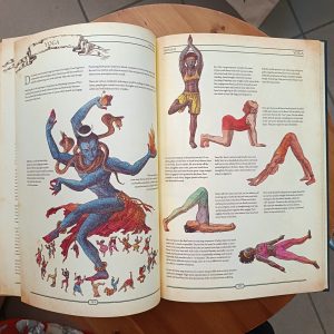 The Book, manuale definitivo per la ricostruzione della civiltà - immagine 13