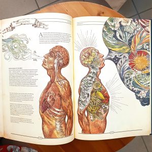 The Book, manuale definitivo per la ricostruzione della civiltà - immagine 14