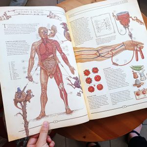 The Book, manuale definitivo per la ricostruzione della civiltà - immagine 23